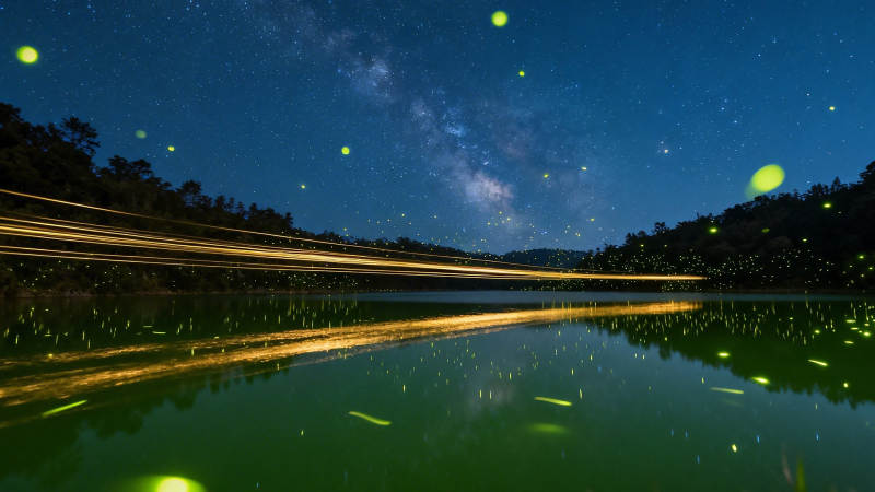 萤火虫夜舞银河湖光图片