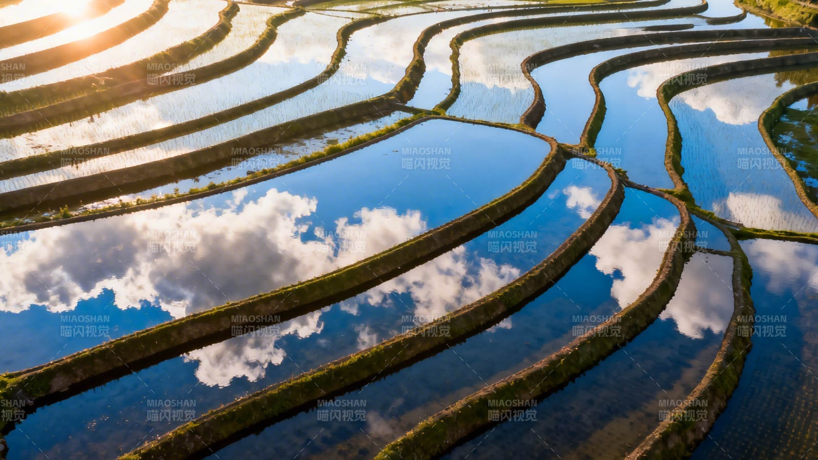 梯田映云 水光接天图片