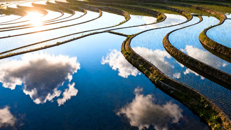 梯田映云 水镜天光图片