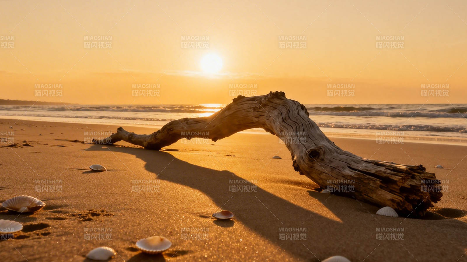 夕阳海滩 枯木静卧沙间图片