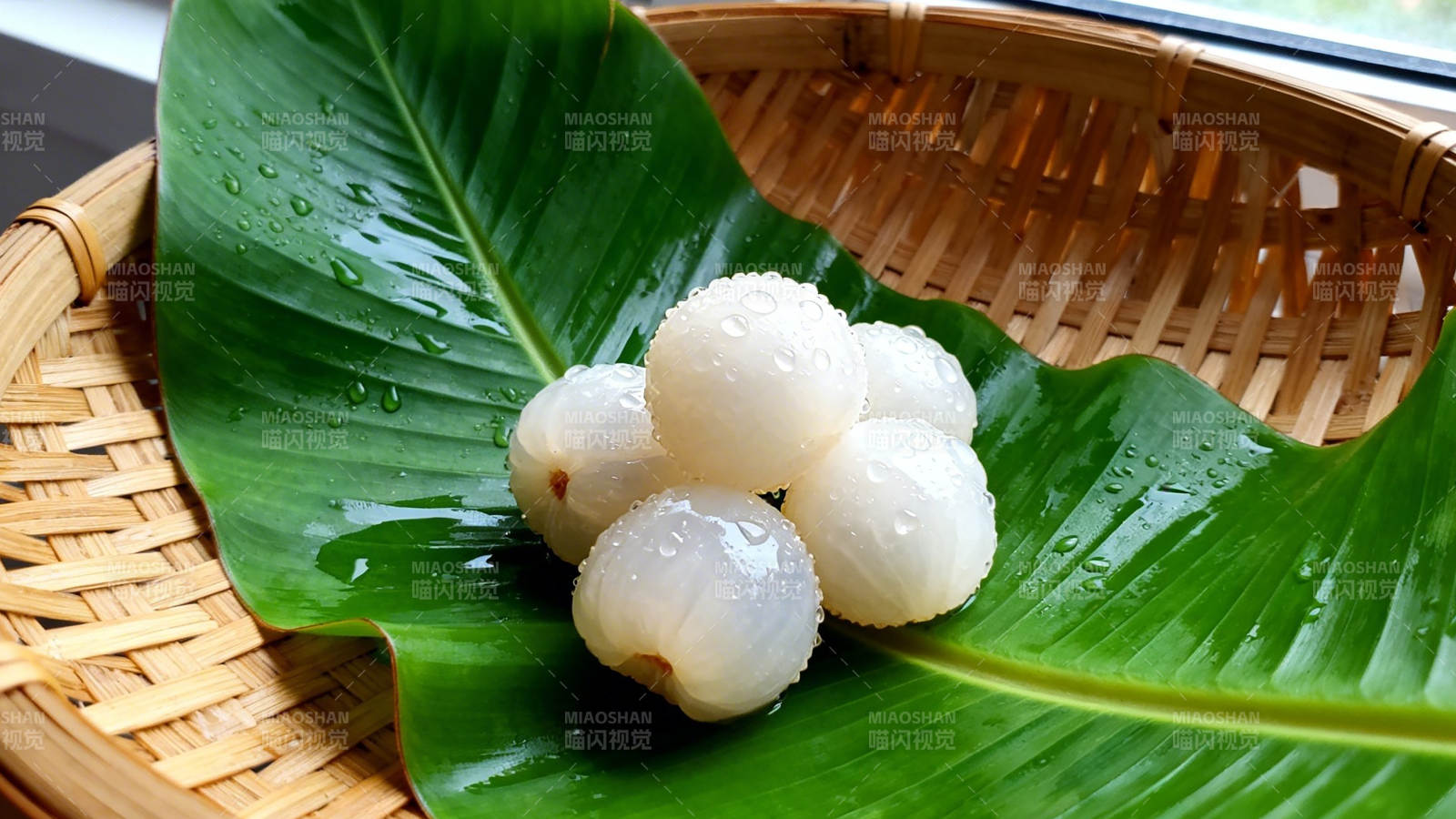 绿叶托白果 清新自然美图片