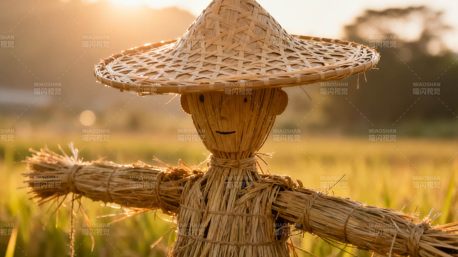 稻草人戴草帽 守望夕阳田图片