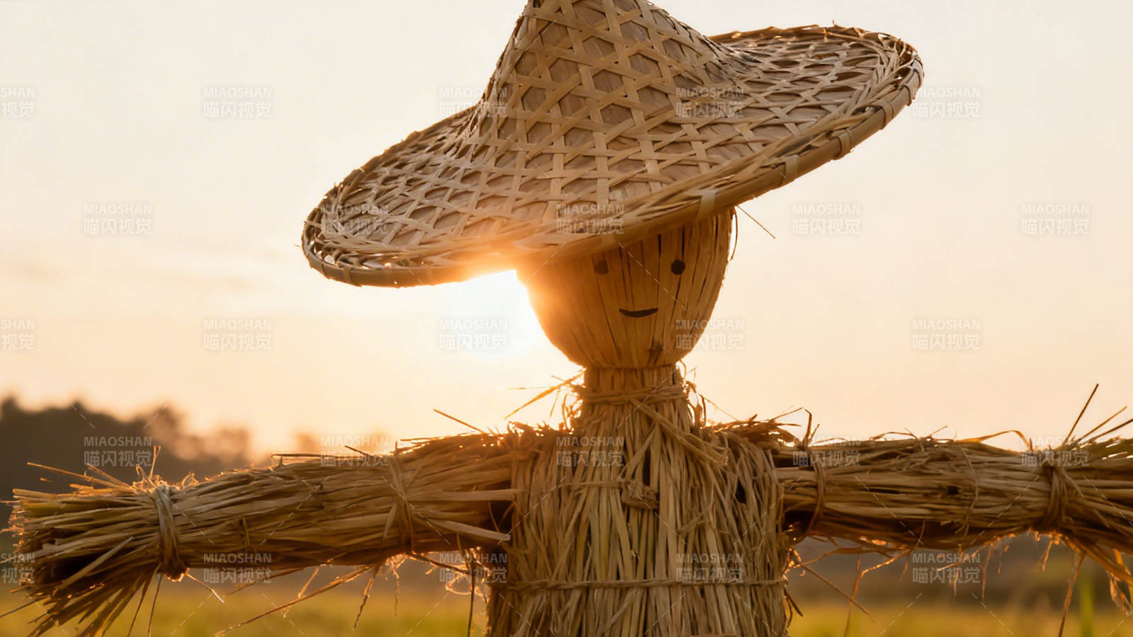 稻草人戴草帽迎夕阳图片
