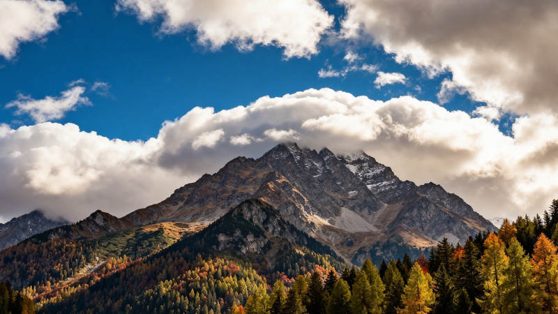 秋山云影 层林尽染图片