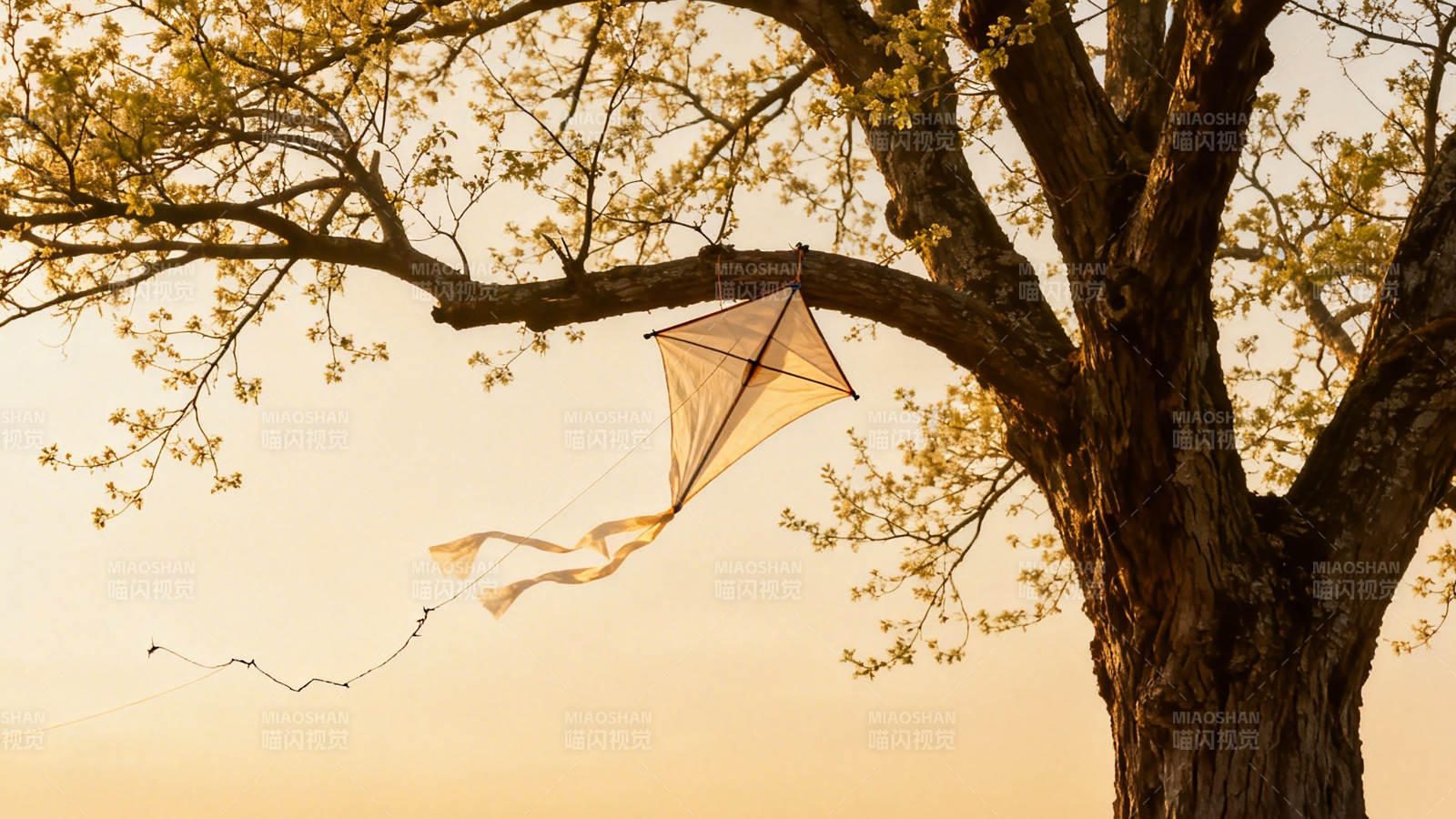 风筝挂树 春日暖阳下图片
