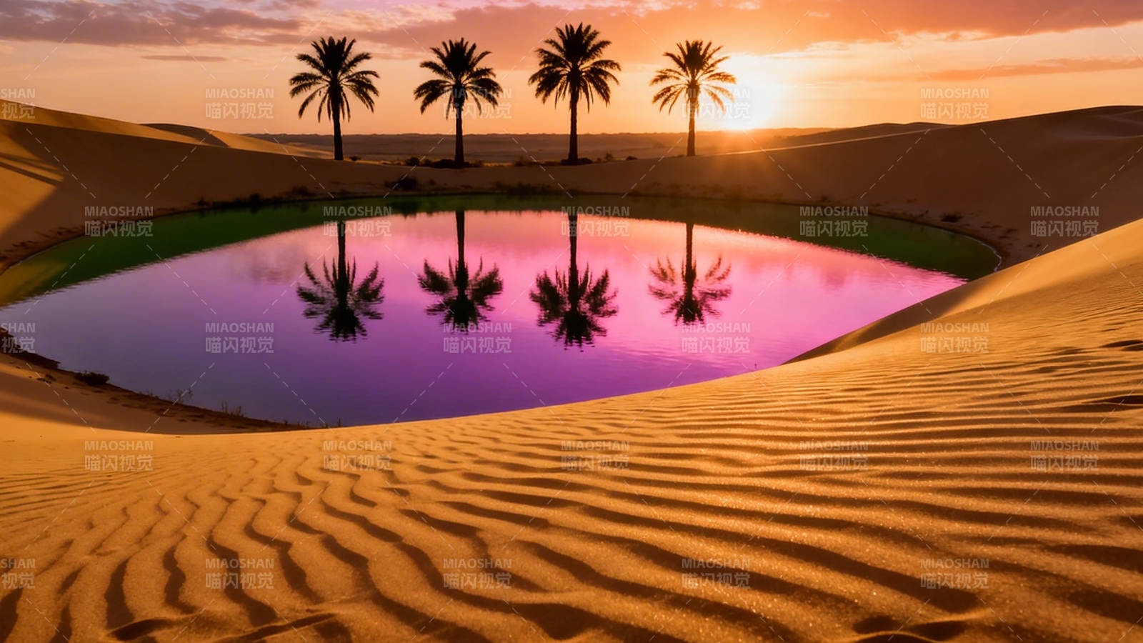 沙漠绿洲 夕阳棕榈倒影图片