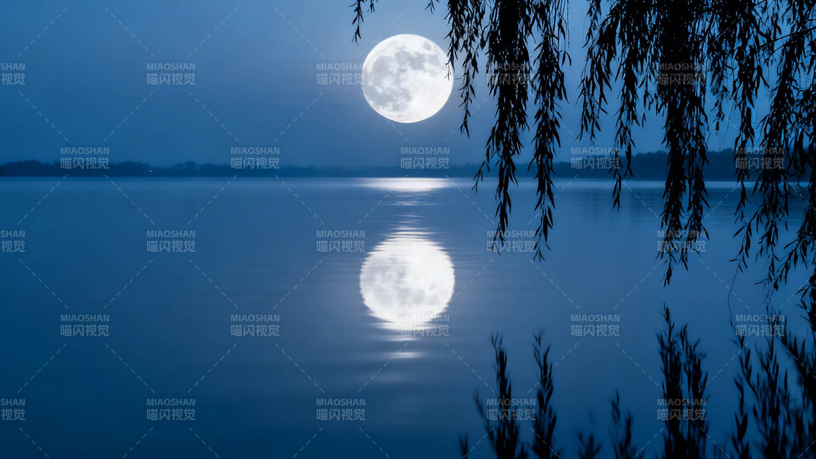 月映湖心 柳影轻摇图片