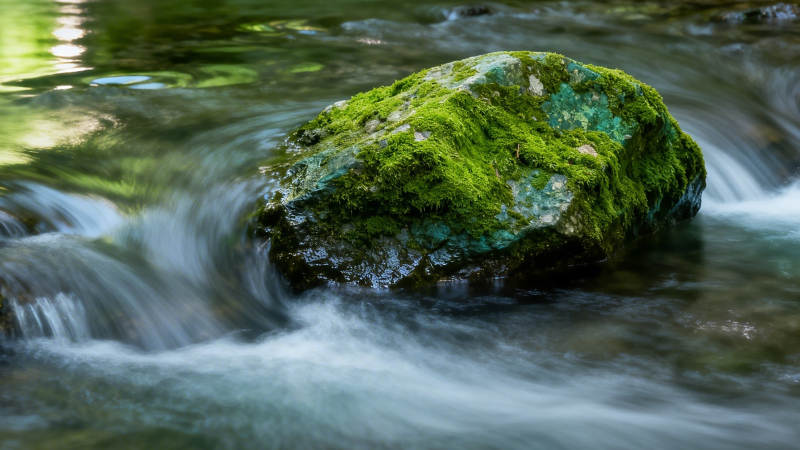 溪流青石 苔绿如水图片
