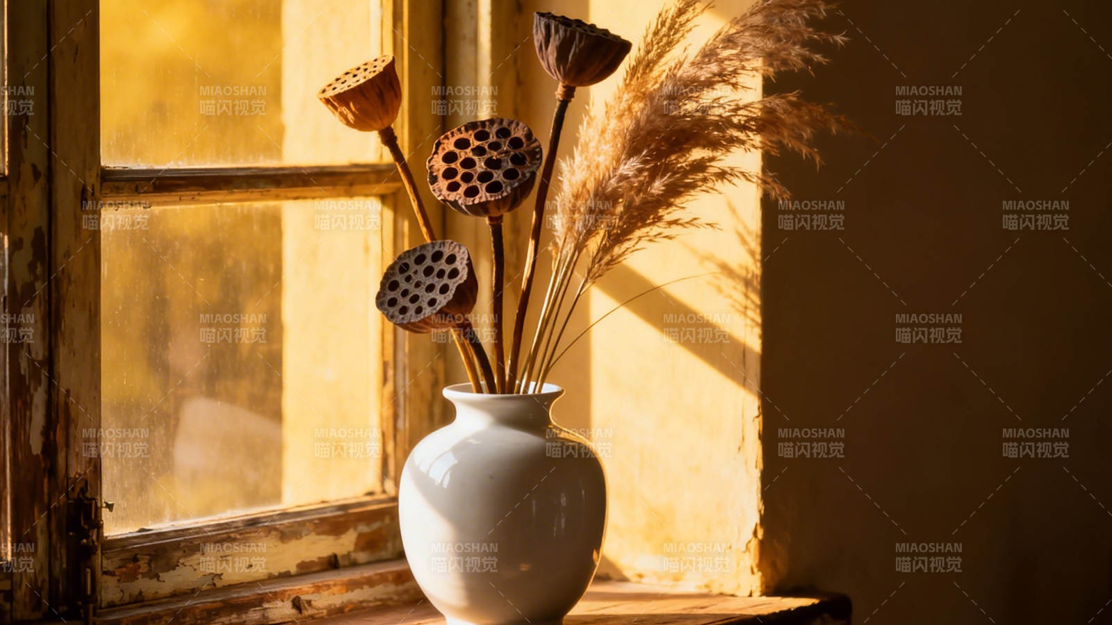 窗边莲蓬 暖光静美图片