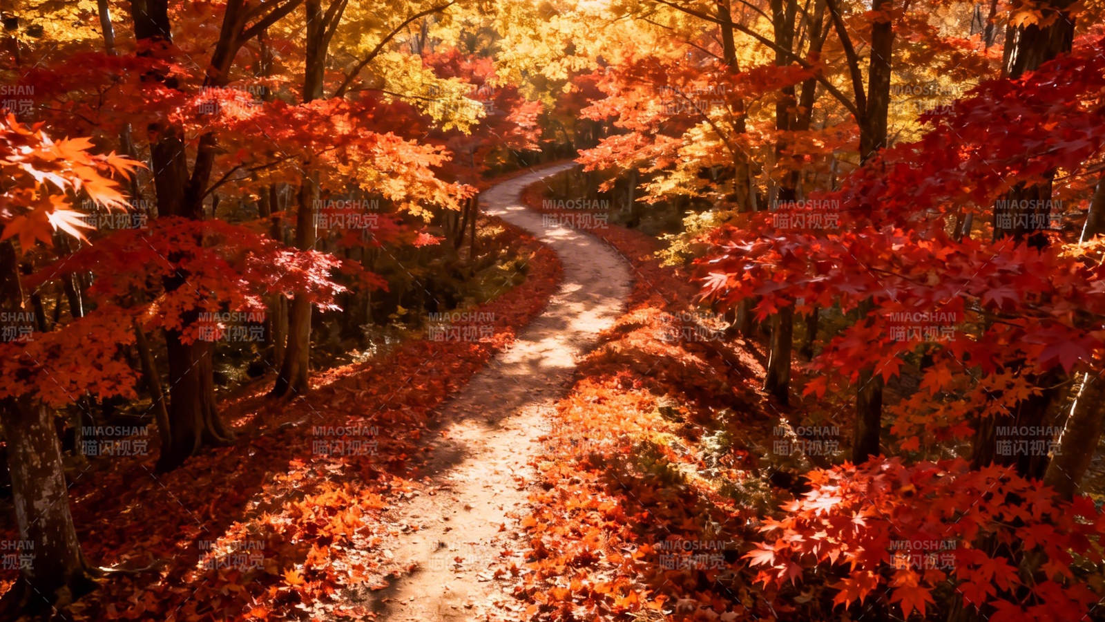 秋径红叶 曲径通幽处图片