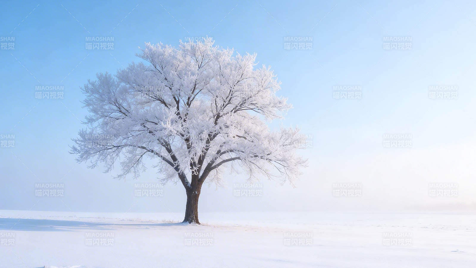 雪覆孤树 静立寒原图片