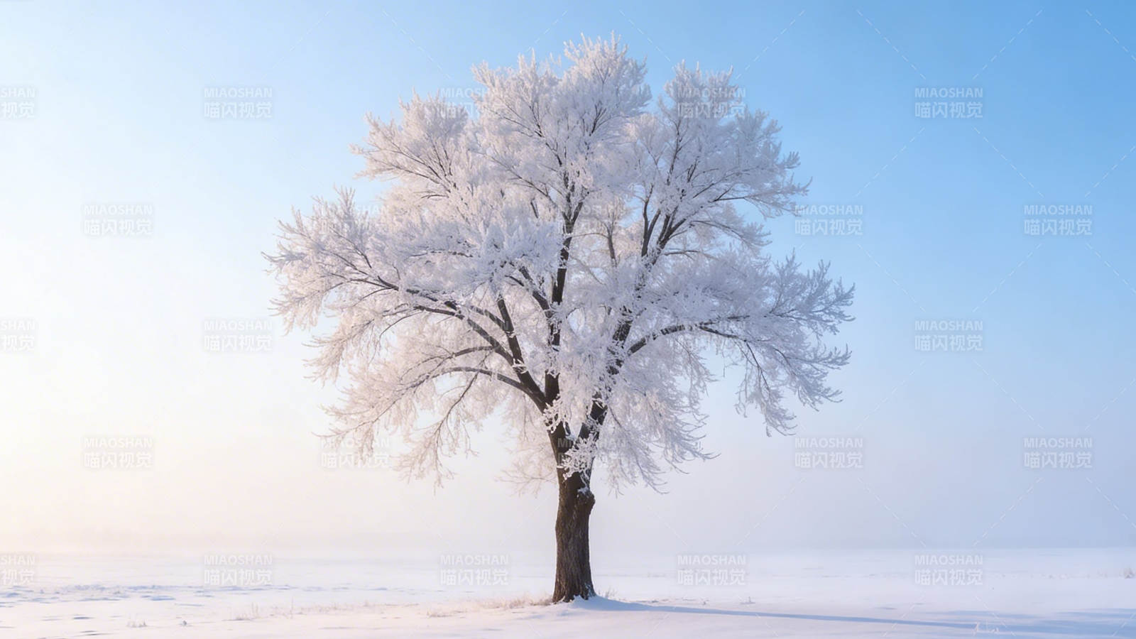 雪覆孤树 静立寒原图片