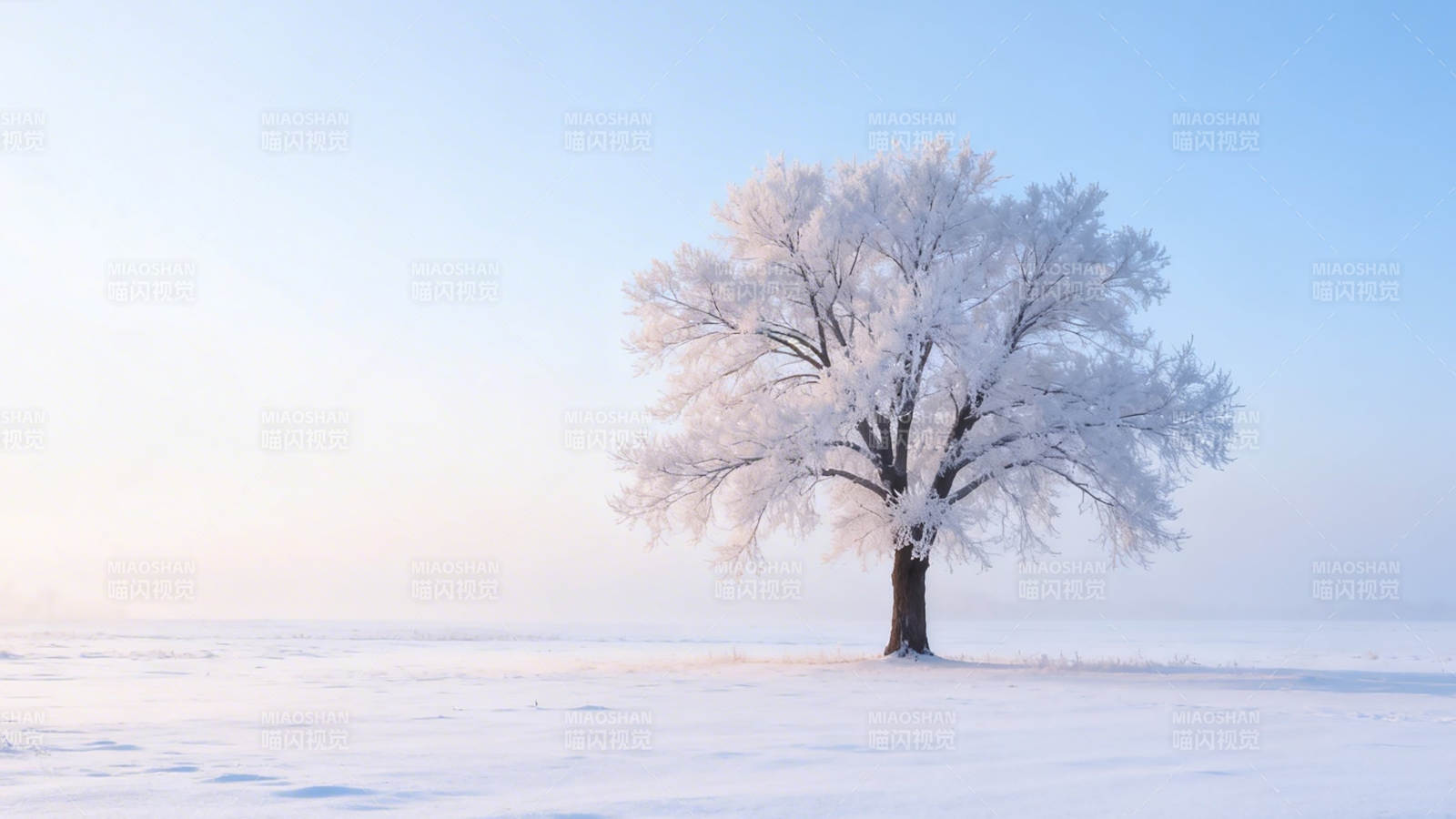 雪覆孤树 静立寒原图片