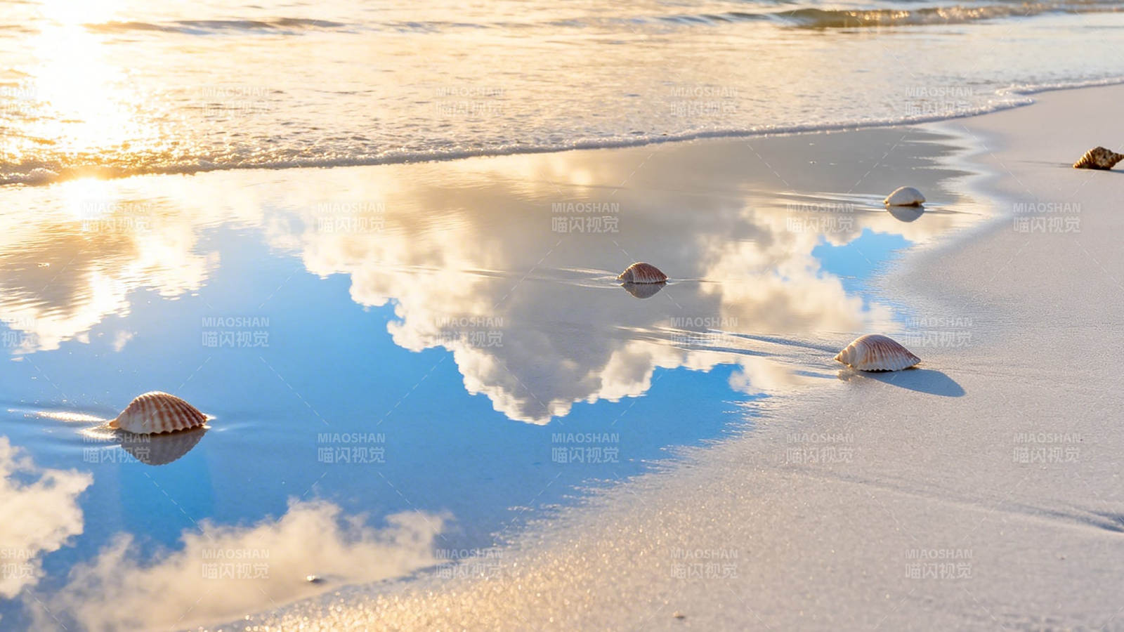 海滩贝壳映云影图片