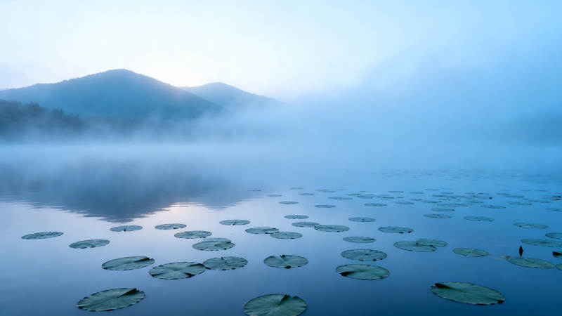 雾锁荷塘 山影朦胧图片
