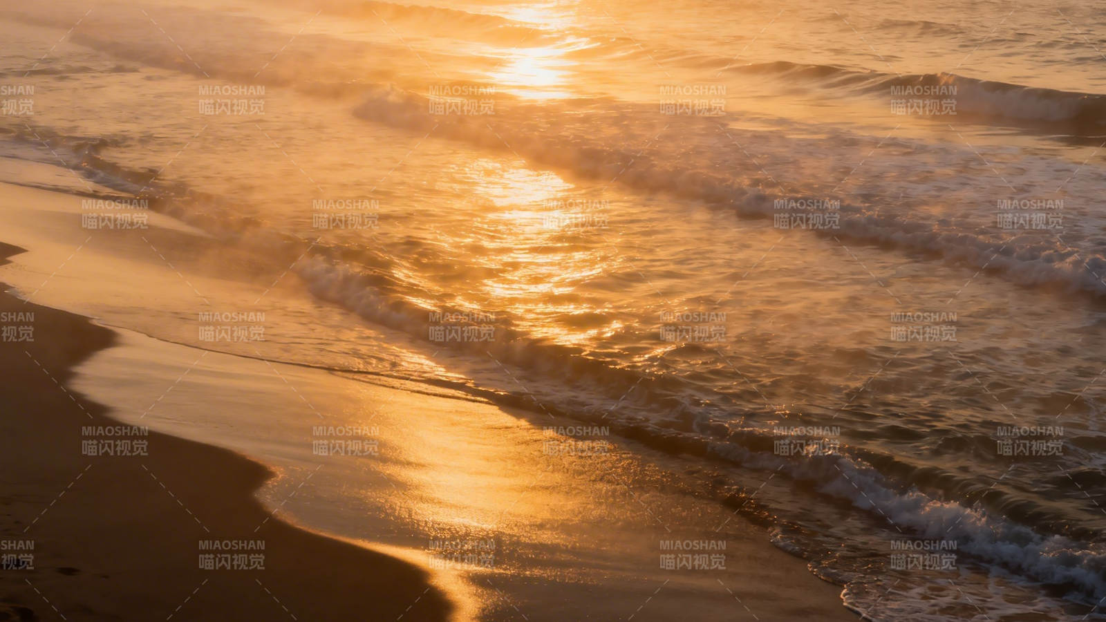 金色夕阳吻海滩图片