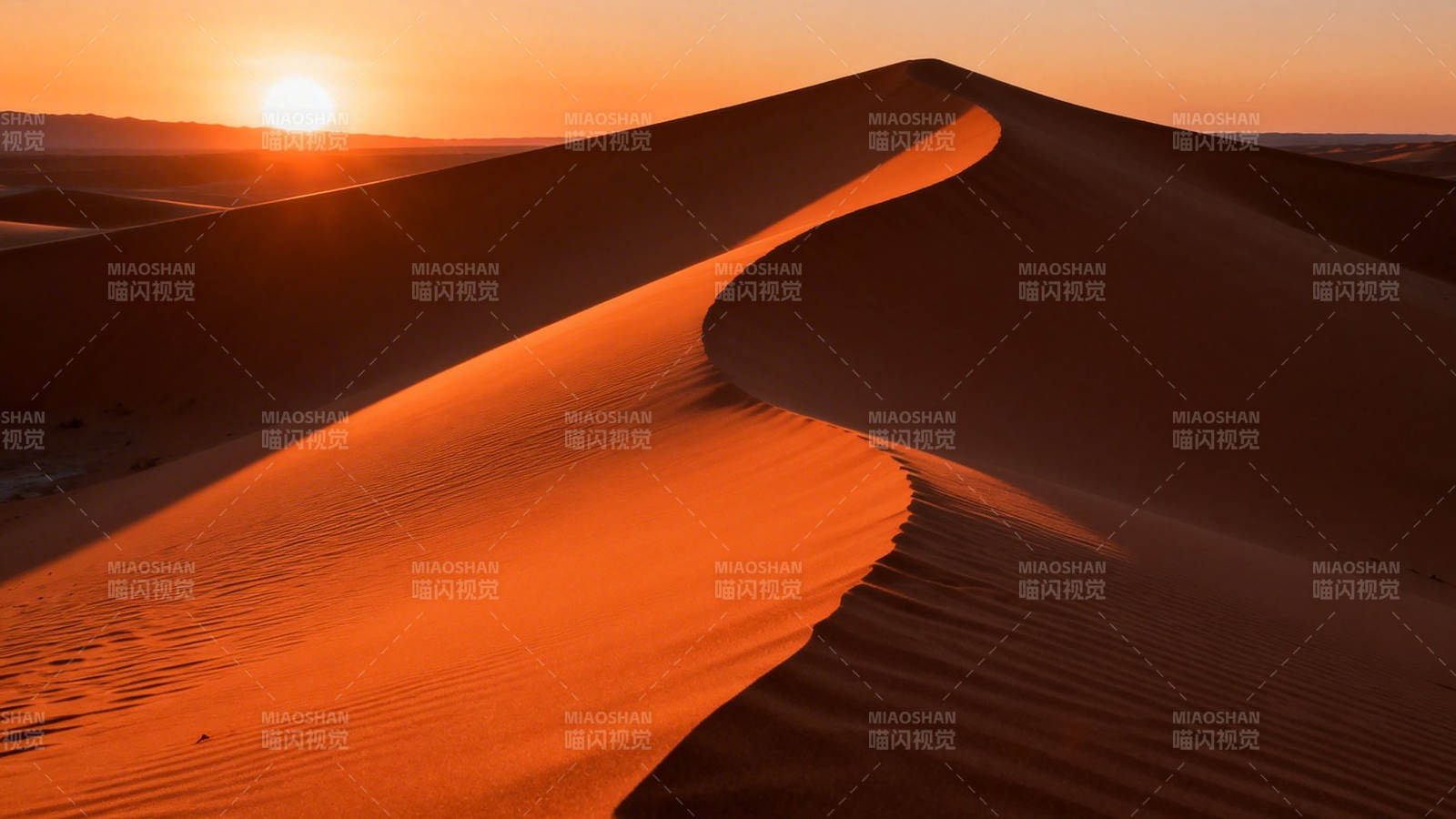 沙漠夕阳 金浪如绸图片