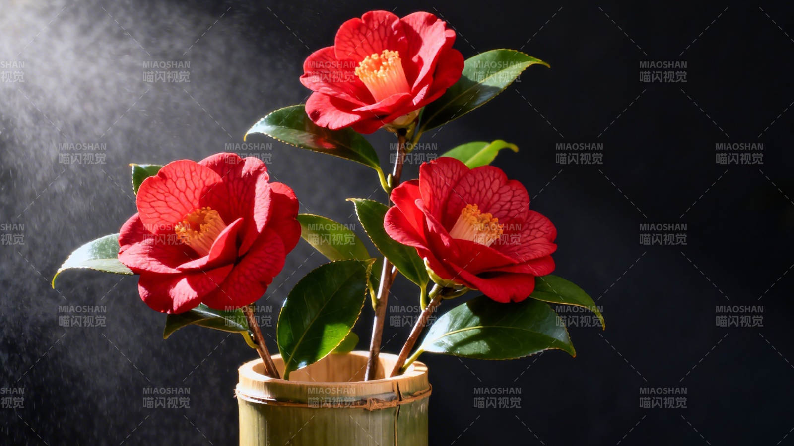 红山茶花竹筒插枝图片