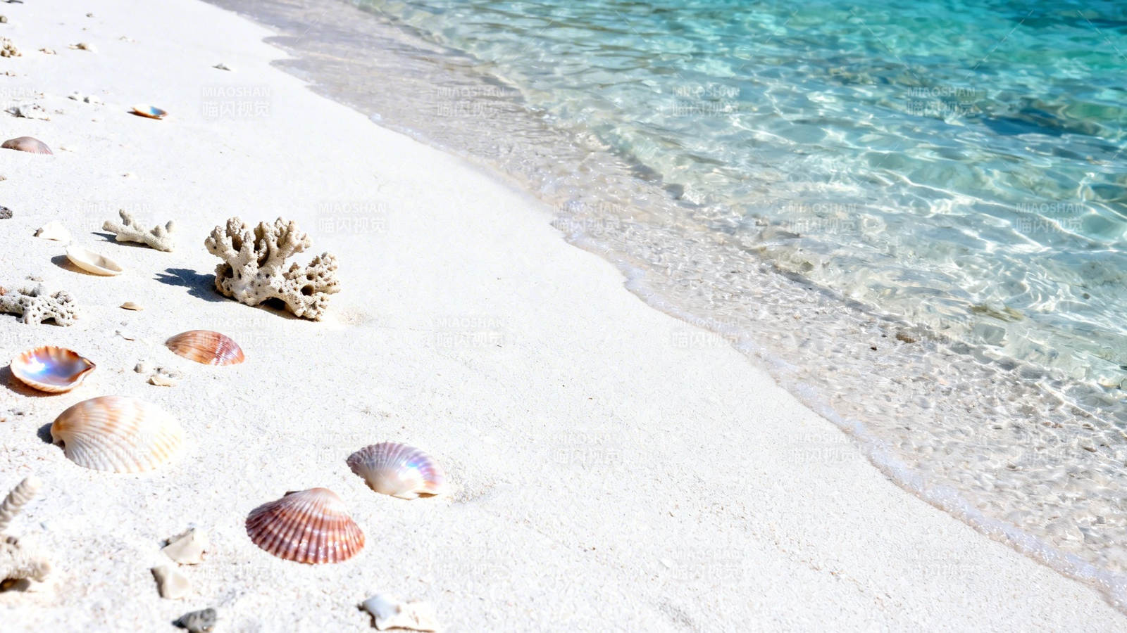 白沙滩贝壳珊瑚伴清波图片