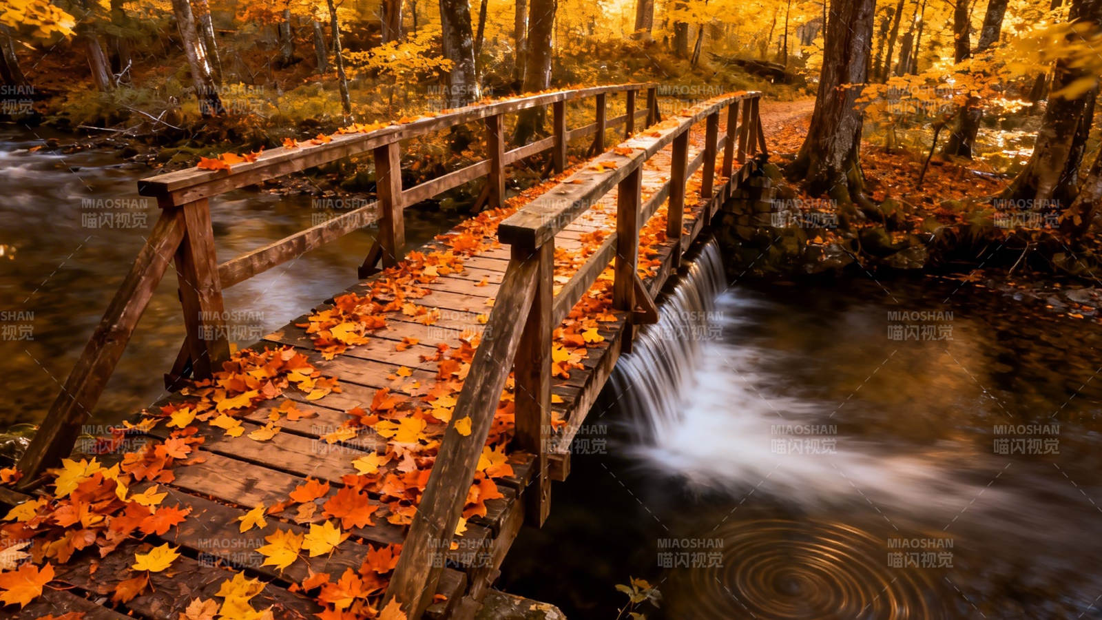 秋叶木桥流水潺潺图片