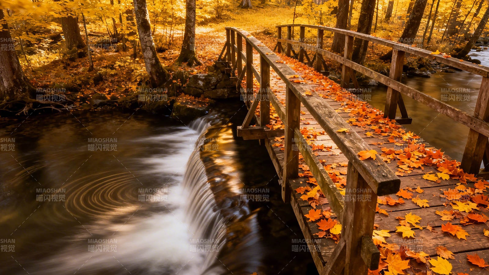 秋叶小桥流水静图片