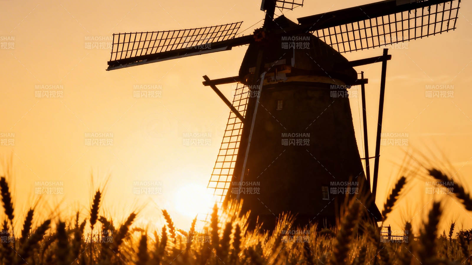 夕阳下的风车与麦田图片
