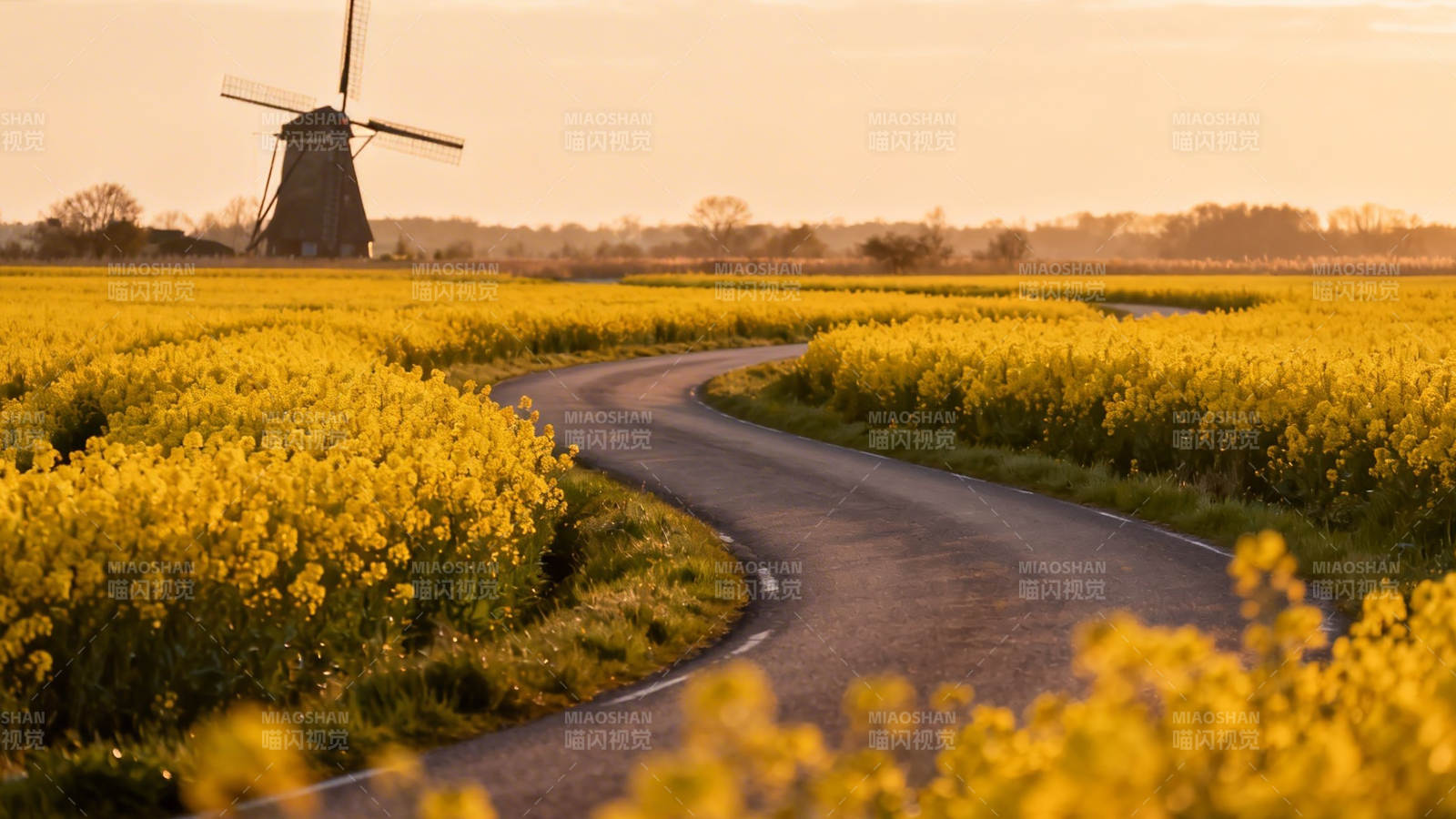 风车花海 曲径通幽景图片