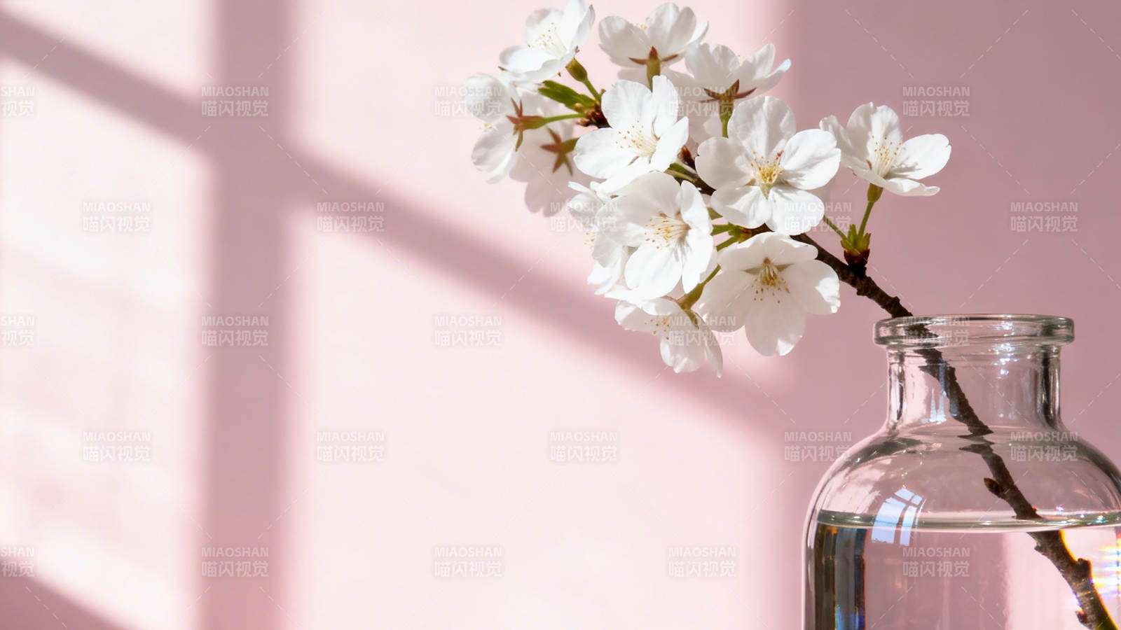 樱花入瓶 光影温柔图片