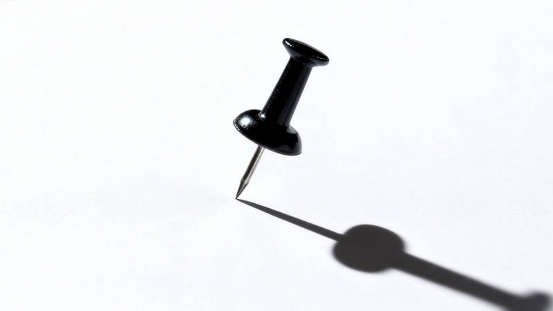 黑图钉与它的影子图片