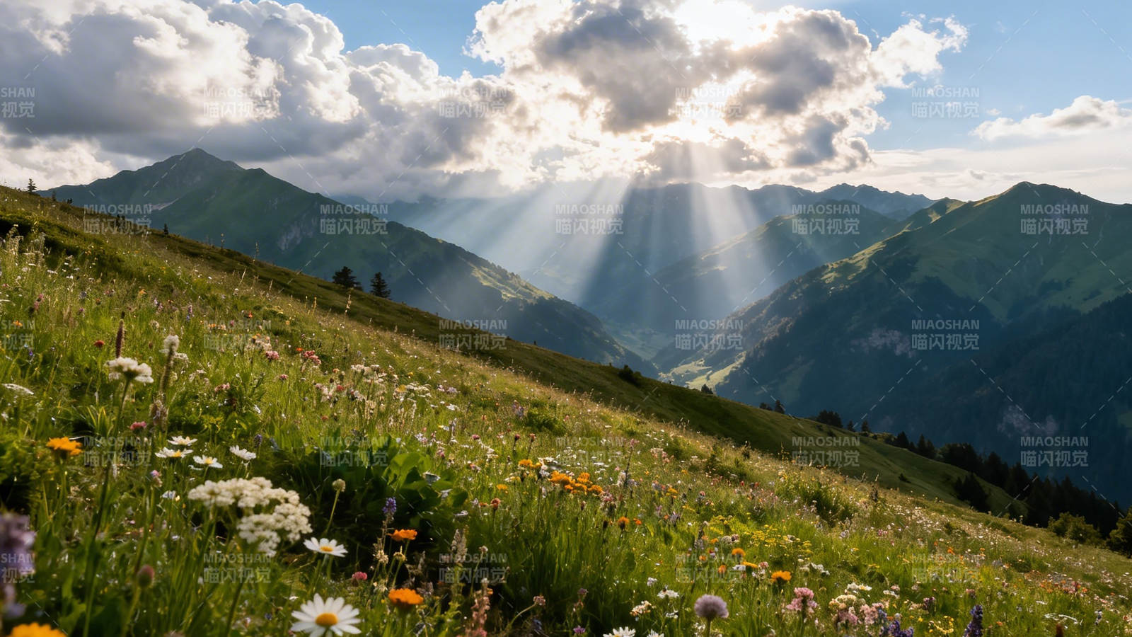 山花烂漫 云隙光洒绿野图片
