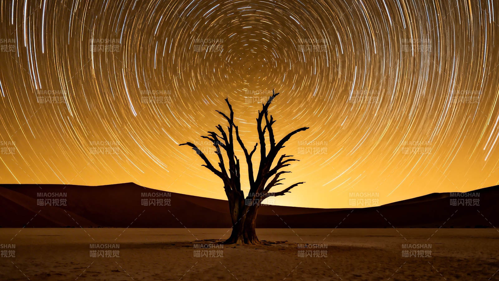 星轨旋舞 枯树守荒漠图片