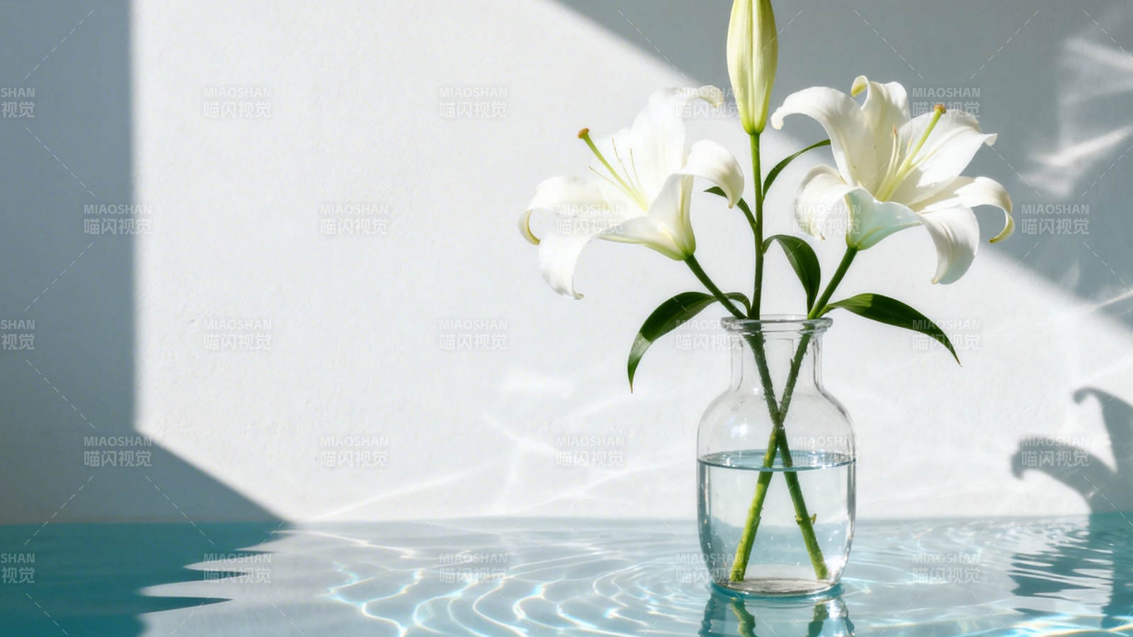 白百合静置水波光影中图片