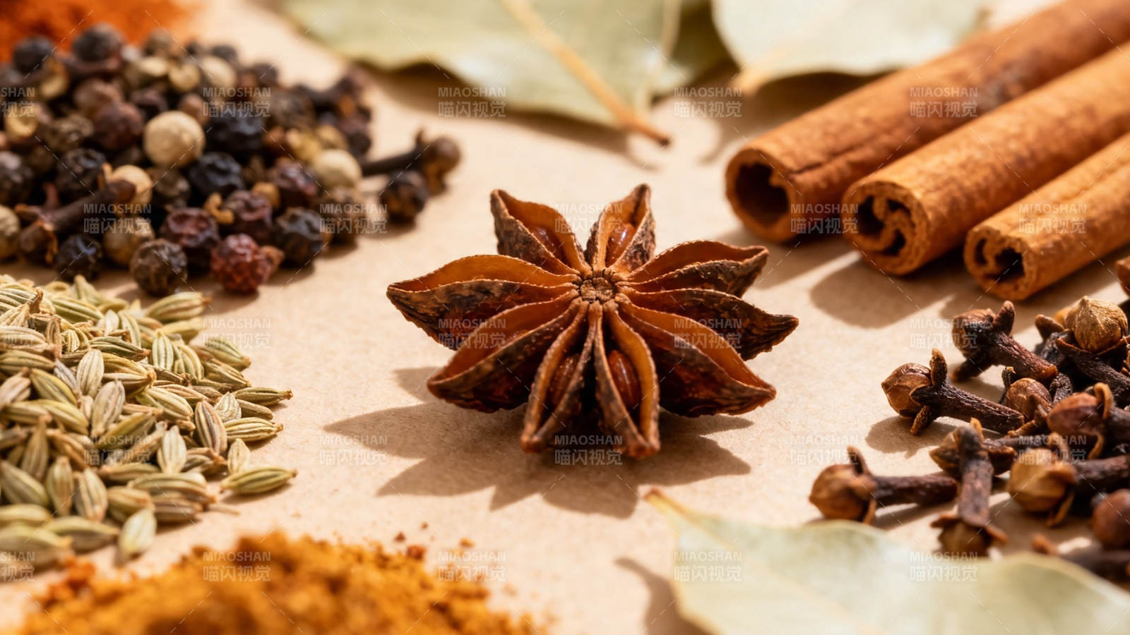 香料荟萃 八角桂皮丁香等图片