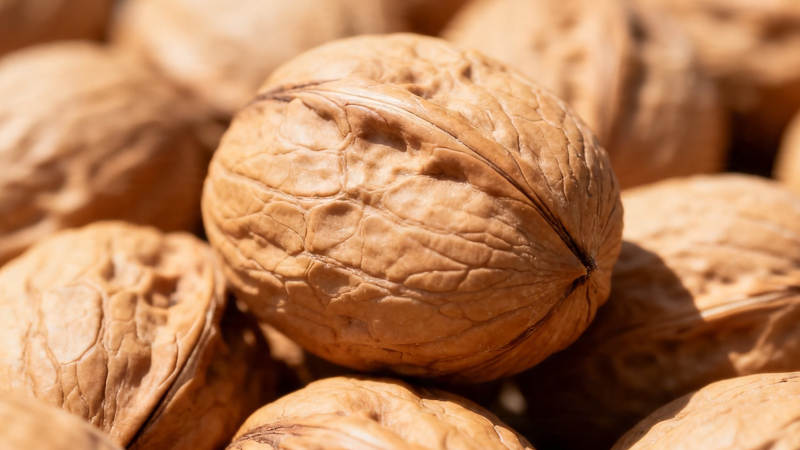 核桃堆叠 纹理清晰自然图片