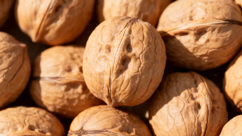 核桃堆叠 纹理清晰自然图片