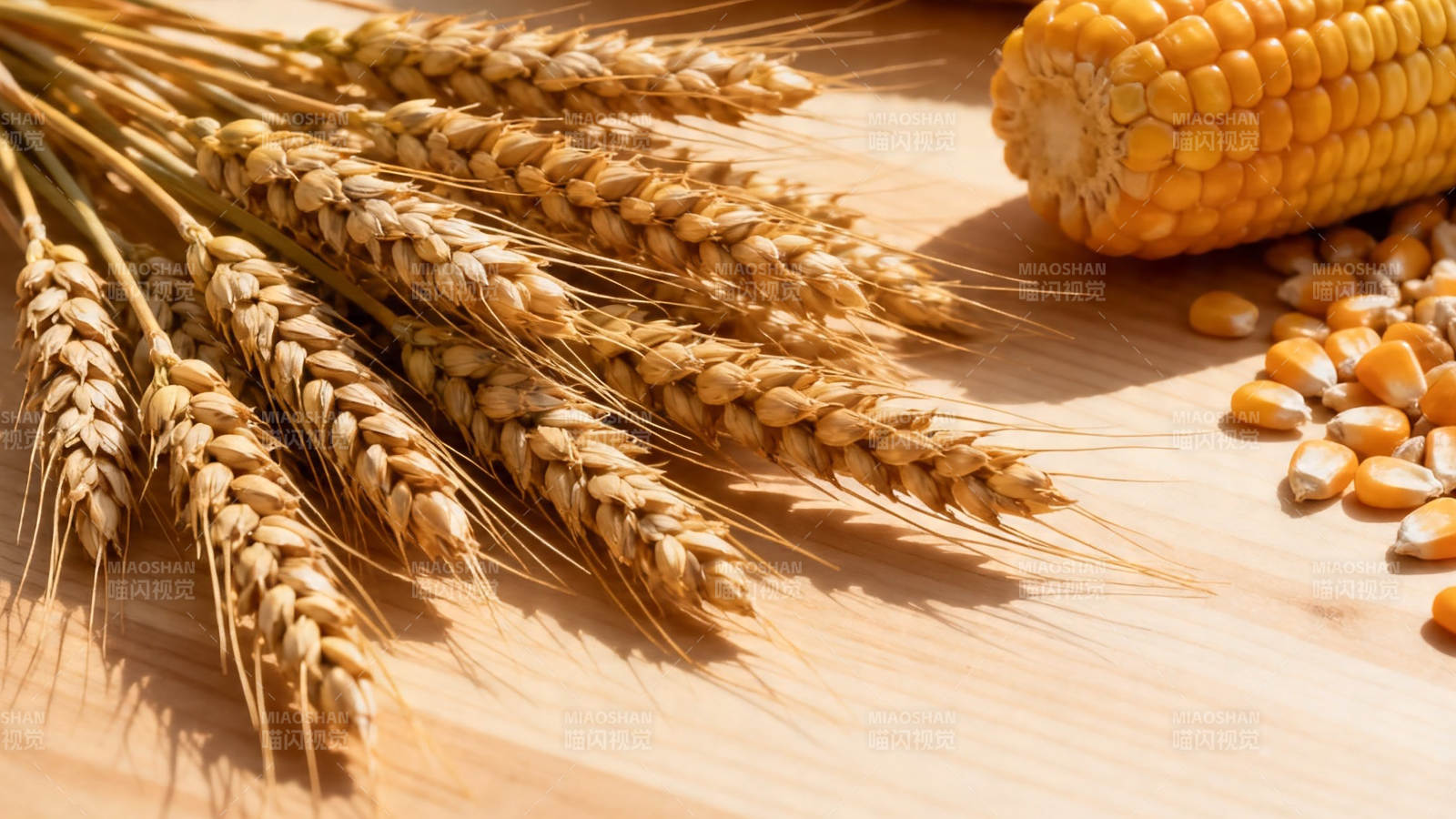 麦穗玉米丰收景图片