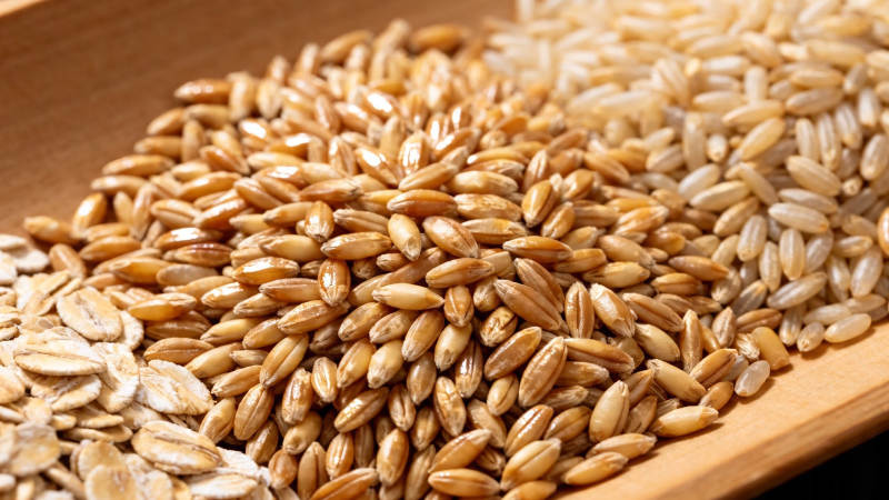 五谷杂粮 健康之源图片