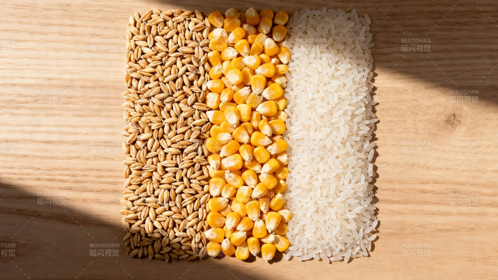 谷物三色拼 麦玉米米图片