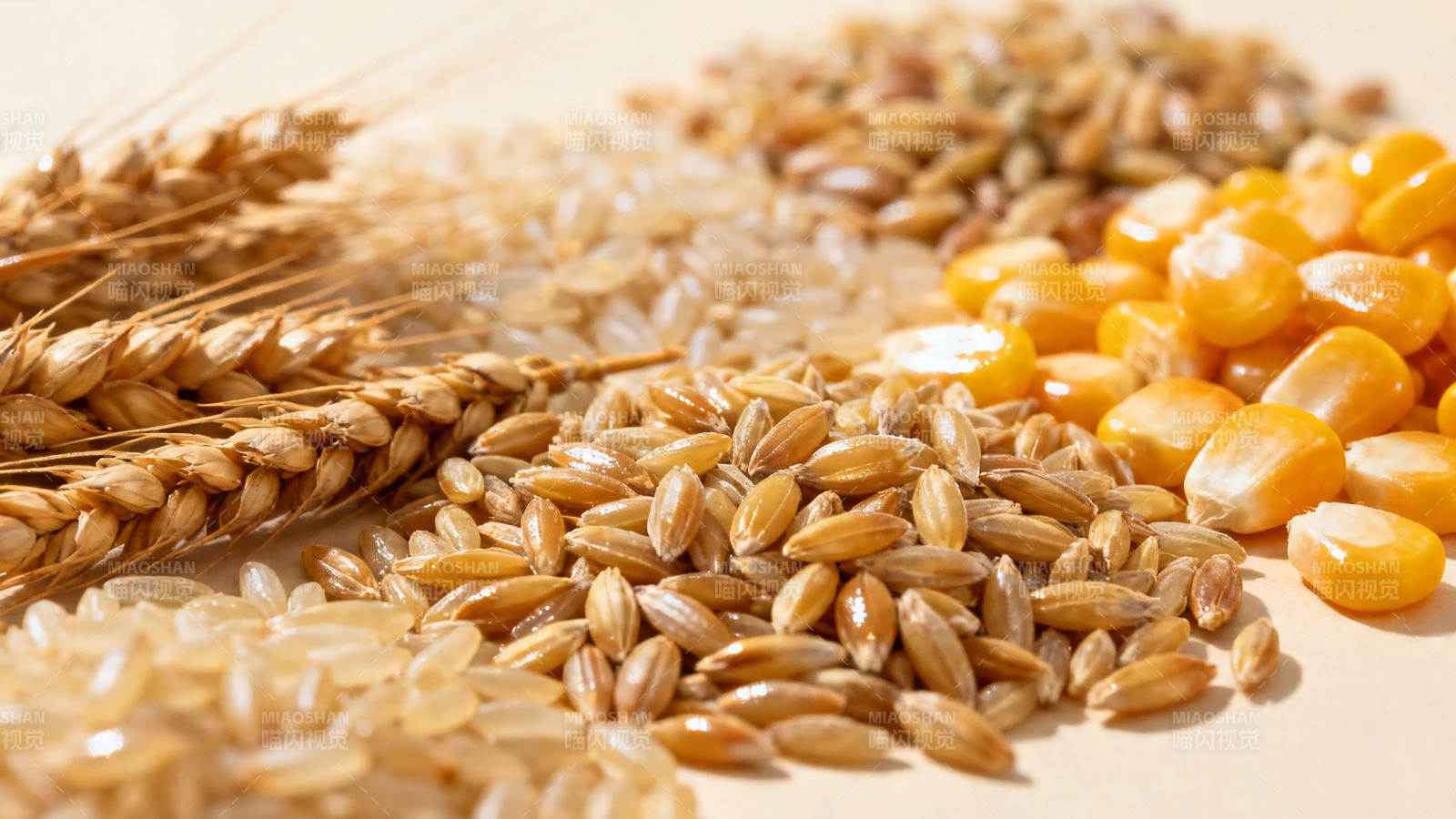 五谷丰登 粮满仓廪图片