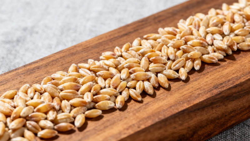 麦粒铺木盘 自然质朴风图片