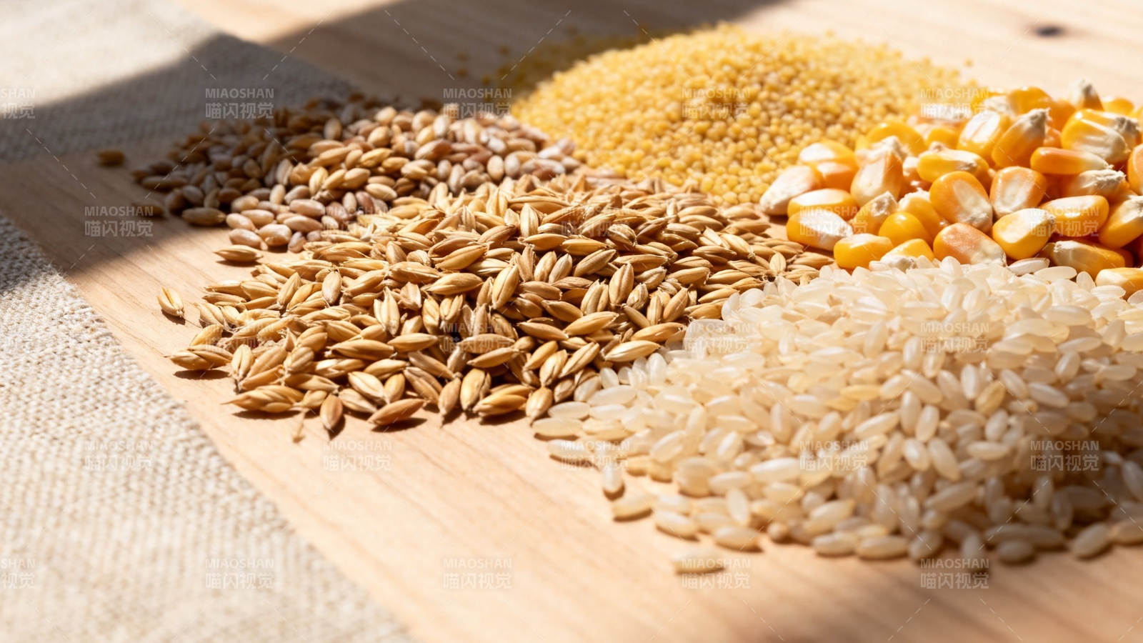 五谷杂粮 阳光下的丰收图片