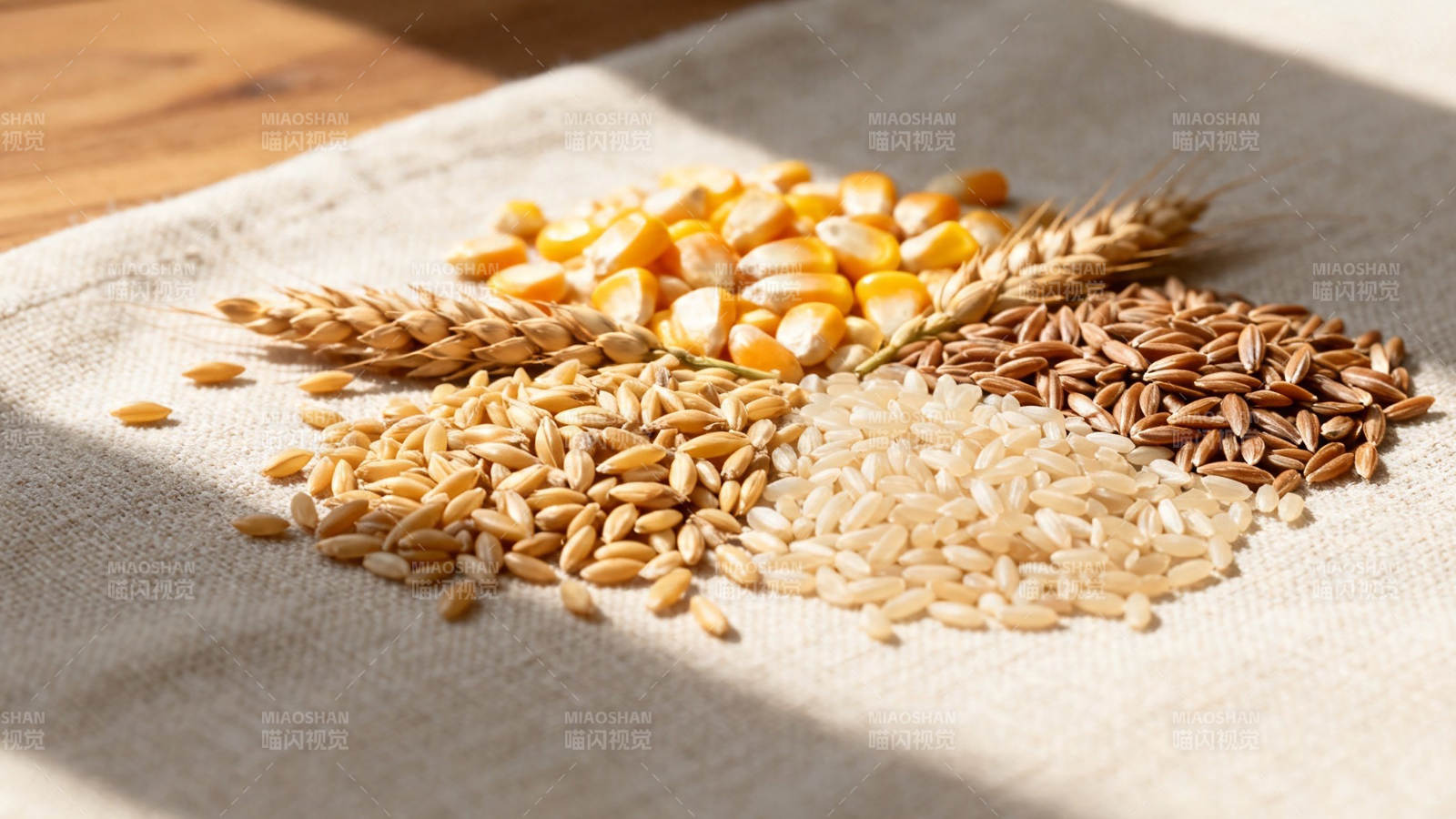 五谷丰登 阳光洒落图片