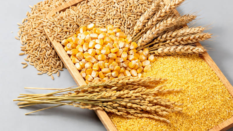 五谷丰登 粮满仓廪图片