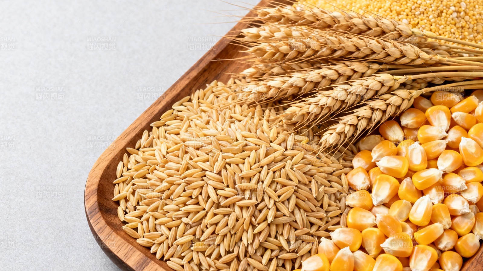 五谷丰登 麦稻玉米同盘呈现图片