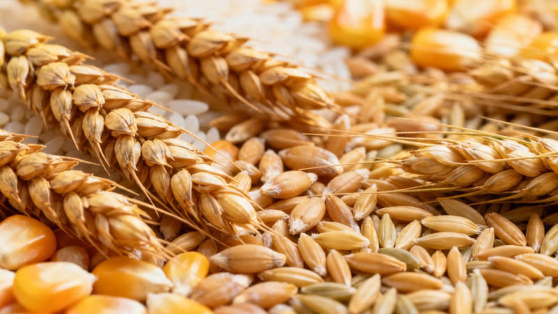 五谷丰登 粮满仓廪图片