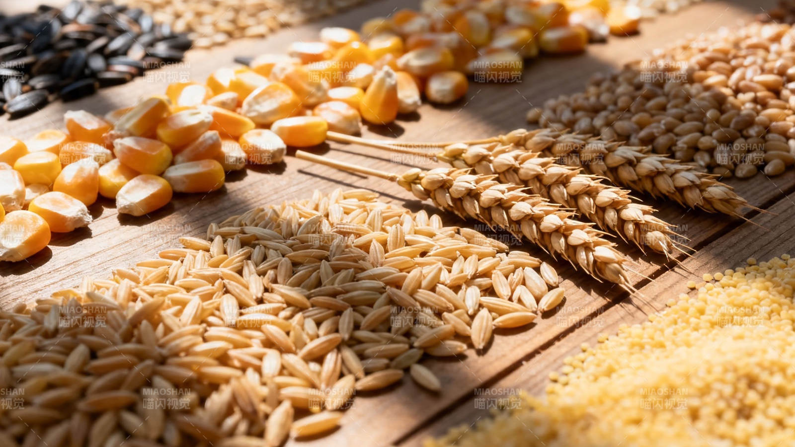 五谷丰登 粮满仓廪图片