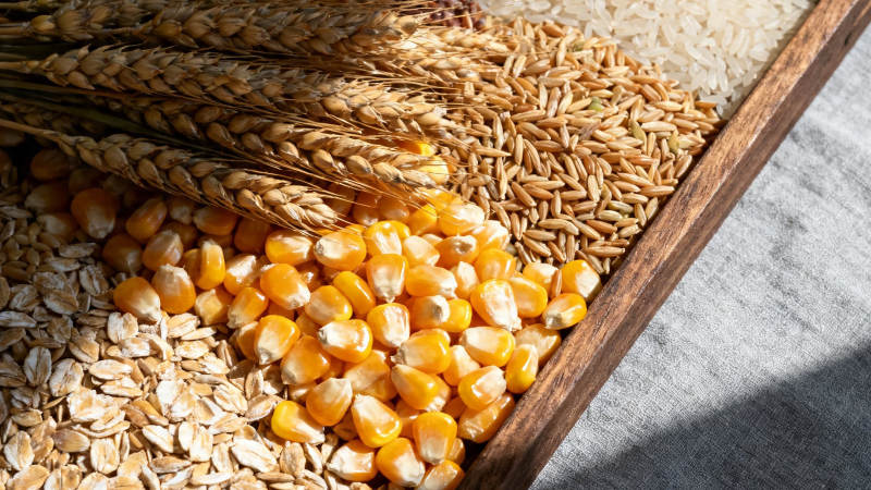 五谷丰登 粮满仓廪图片