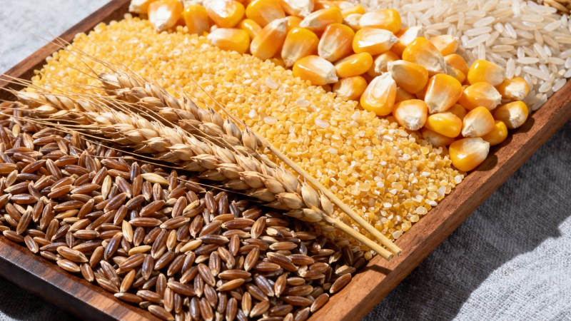 五谷杂粮 健康之源图片