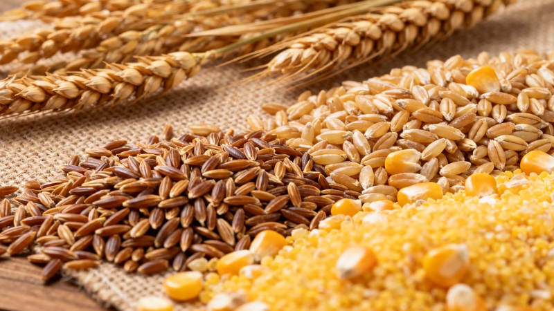 五谷丰登 粮满仓廪图片