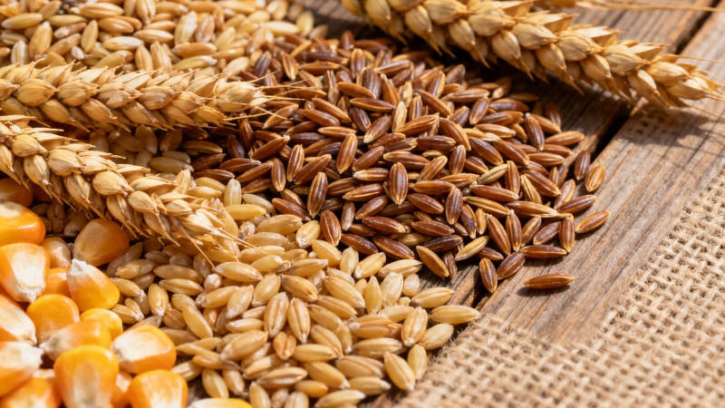 五谷丰登 天然粮仓图片